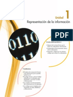 Representacion de La Informacion PDF