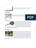 Instrumentos Autoctonos de Guatemala Con Concepto