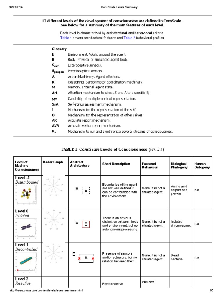 ConsScale Levels Summary | PDF | Consciousness | Emotions