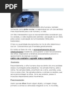 O olho humano.docx