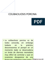 colibaciliosisporcina-121130003842-phpapp01.pptx