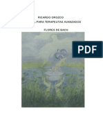 Manual de Terapeutas Avanzados Ricardo Orozco-1.pdf