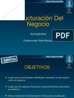 ESTRUCTURACION DEL NEGOCIO 2010.ppt