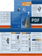 Cuadriptico EPP PDF