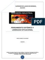 Pensamiento Sistémico y Liderazgo Ocupacional