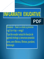 Inflamatia exudativa