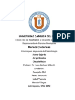 Defensa Paleontología Monocotyledoneae PDF