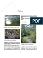 Pantanos PDF