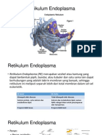 Retikulum Endoplasma