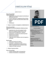 CURRICULUM VITAE_ACTUAL.pdf