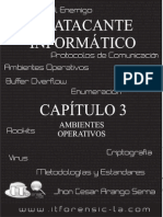 Elatacanteinformatico Capitulo3 100829001230 Phpapp01 PDF
