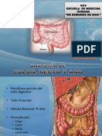 anatomia de colon recto y ano.pptx