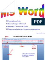 Word 2010