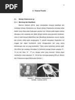 Download Tinjauan Pustakadocx by ardi1993 SN241859815 doc pdf