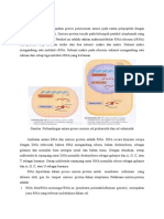 Review Sintesis Protein
