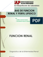 Pruebas de Funcion Renal y Perfil Lipidico