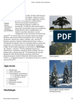 Drzewo - Wikipedia, Wolna Encyklopedia PDF