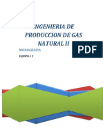 INGENIERIA DE PRODUCCION DE GAS NATURAL II.pdf