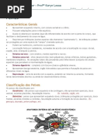 peixes anfibios e repteis apostila explicativa.docx