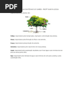 FUNÇOES DAS PARTES DAS PLANTAS.docx