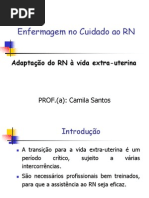 ADAPTAÇÃO EXTRA UTERINA.pdf