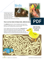 Baby Birds PDF
