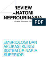 Review Anatomi Nefrourinary System