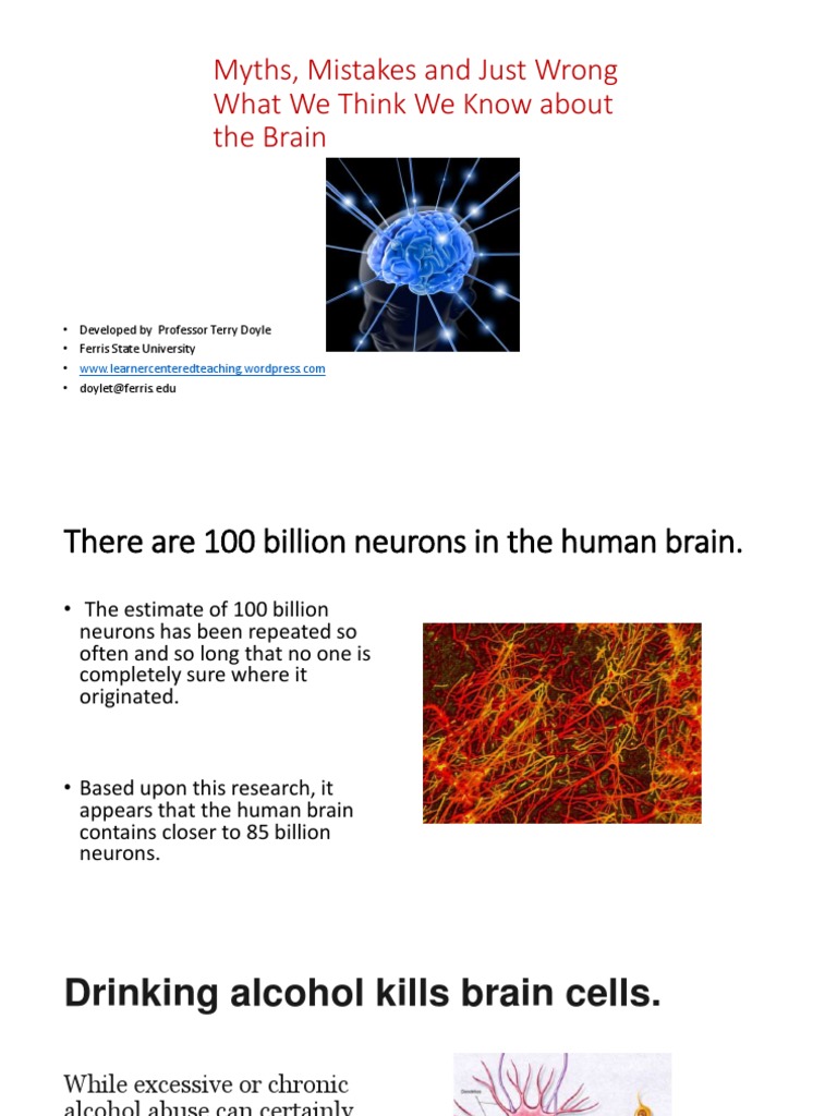 Myths Mistakes And Just Wrong What We Think We Know About The Brain