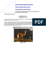 5 Herramientas de Pinceles PDF