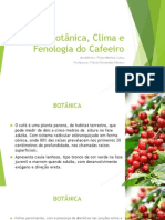 Botânica, Clima e Fenologia Do Cafeeiro