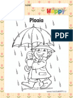ploaia.pdf