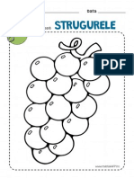 STRUGURE.pdf