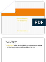 1 Generalidades de Anatomia y Principios Morfologicos Generalidades de Osteologia Prof Pedro Bolivar PDF