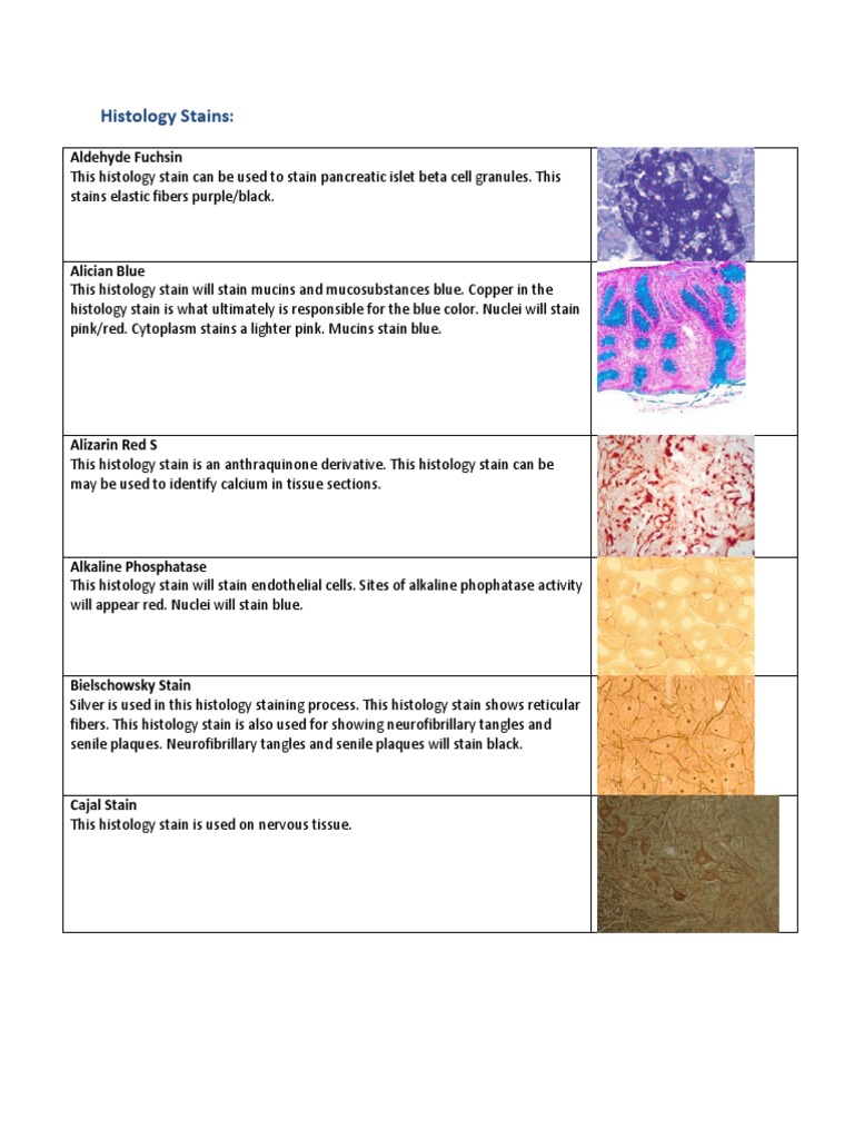 Histology Stains Staining Histology