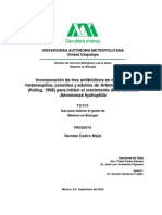 - Incorporacion de antibioticos en Artemia Franciscana.pdf