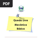 Relatório I Queda Livre - Mecânica Básica.docx