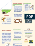 Triptico de Gobernanza PDF