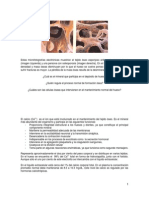 Control Hormonal Del Calcio PDF