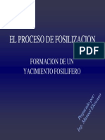 2.Formacion de un Yac Fosil .pdf