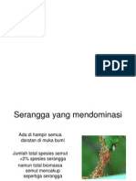 Ekologi Semut