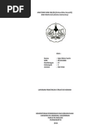 Download AnatomiIkanLelebyEgiaRiskaFazrinSN241953262 doc pdf