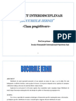 Proiect Interdisciplinar Bucuriile Iernii