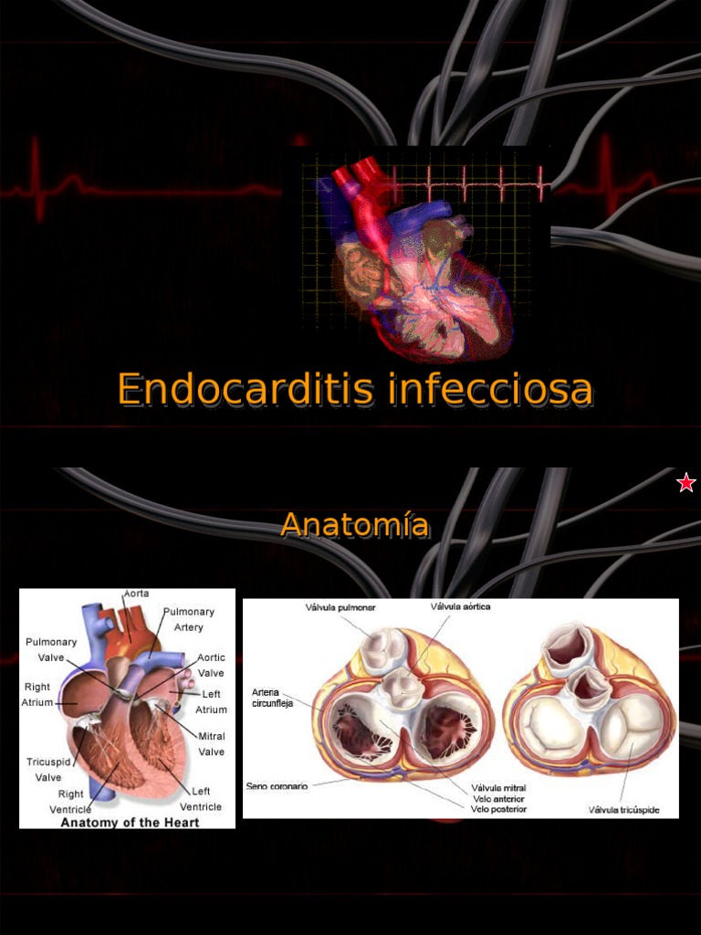 Guía Astrológica Para Corazones Rotos Pdf Gratis