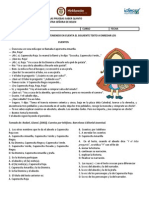 Plan de Apoyo A Las Pruebas Saber Quinto PDF