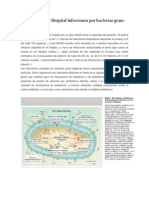 Adquiridas en el Hospital Infecciones por bacterias gram.docx