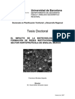 Tesis DR Impacto Biotecnologia en La Formacion de Redes Institucionales en El Sector Hortofrticola en Sinaloa