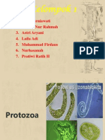 Protozoa Fix