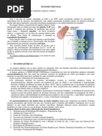 texto informativo - SINAPSES NERVOSAS.docx