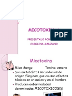 MICOTOXINAS