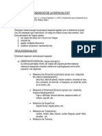 ADQUISICIx_DE_LA_ESPACIALITAT.pdf